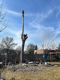 Romero Landscape & Tree Service - Photo 9 - Car repair in Minneapolis, MN, Minneapolis