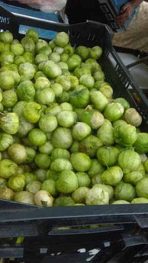 Museum «Philipse Manor Hall State», reviews and photos, 29 Warburton Ave, Yonkers, NY 10701, USA