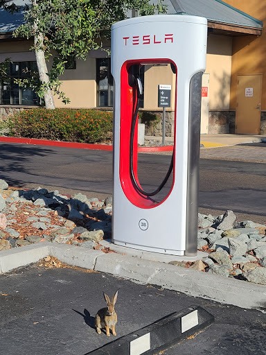 Electric vehicle charging station contractor Chula Vista