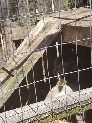 Zoo «Tri-State Zoological Park», reviews and photos, 10105 Cottage Inn Ln NE, Cumberland, MD 21502, USA