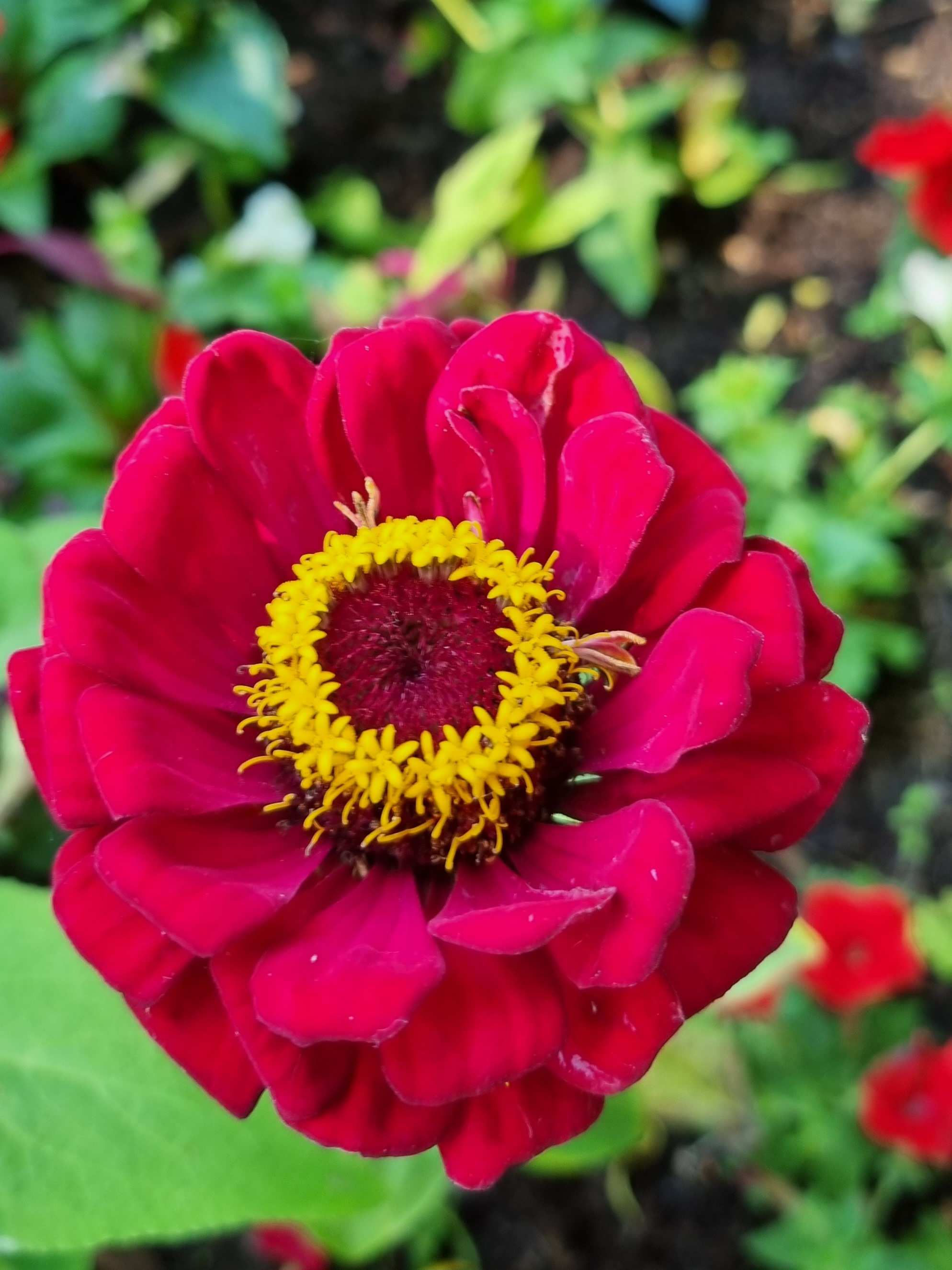 Photo n° 11 de l'avis de Sabine.o fait le 13/06/2023 à 19:16