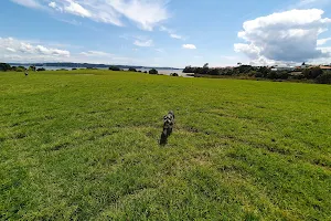 Meola Reef Dog Park image