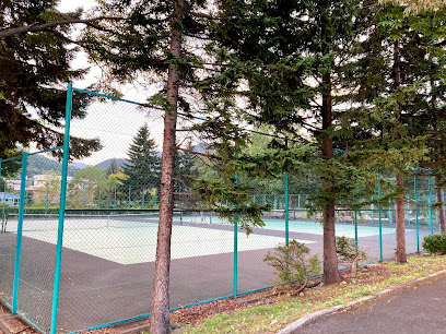 西野南公園テニスコート