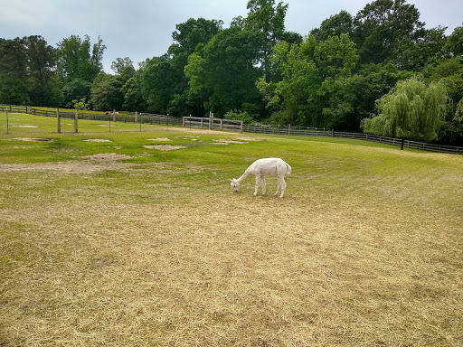 Farm «Painted Sky Alpaca Farm & Fiber Mill», reviews and photos, 95 Knight House Ln, Earleville, MD 21919, USA