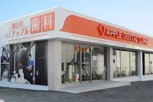 Kakogawa Apple Dental Clinic image