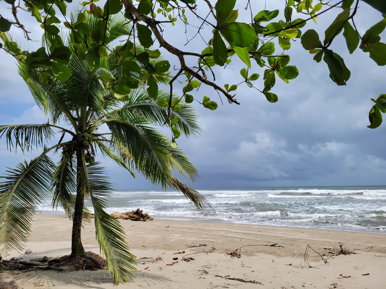 Fotografija Calovebora Beach z dolga ravna obala