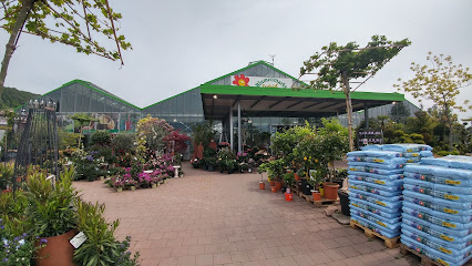 Blumenmarkt Dietrich