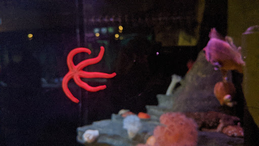 Gift Shop «Seattle Aquarium Gift Store», reviews and photos, 1483 Alaskan Way, Seattle, WA 98101, USA