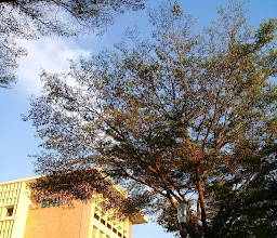 Museum BNI (Bank Negara Indonesia 1946) photo