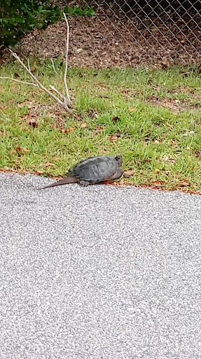 Car Dealer «Island Chrysler Dodge Jeep Ram», reviews and photos, 8983 Ocean Hwy, Pawleys Island, SC 29585, USA