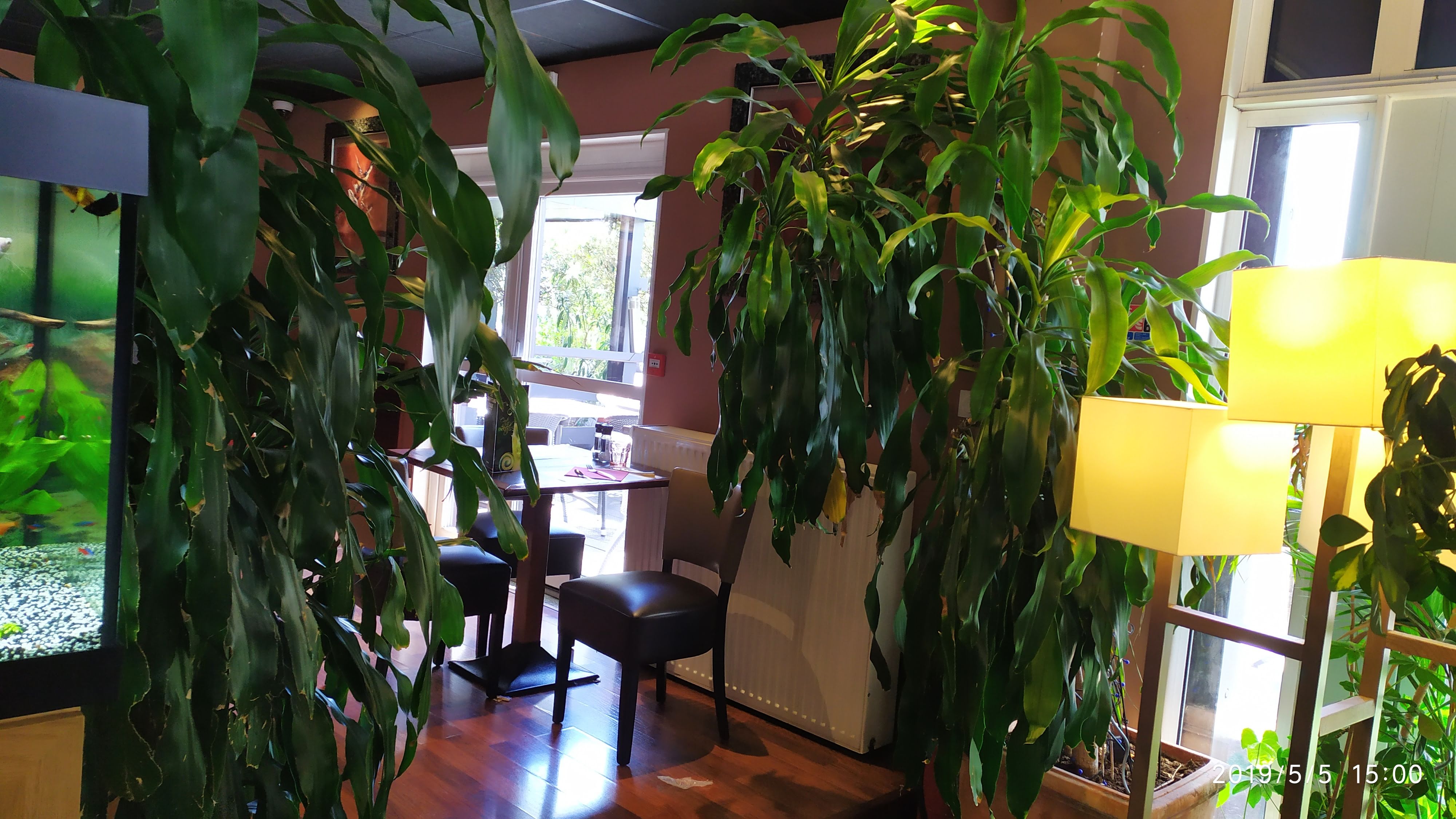 Photo n° 1 de l'avis de Davide.u fait le 09/05/2019 à 11:09