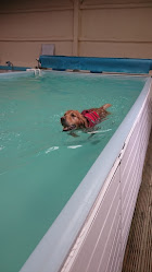 Highwood Canine Hydrotherapy