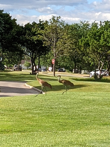 Golf Club «Whisper Creek Golf Course», reviews and photos, 12840 Del Webb Blvd, Huntley, IL 60142, USA