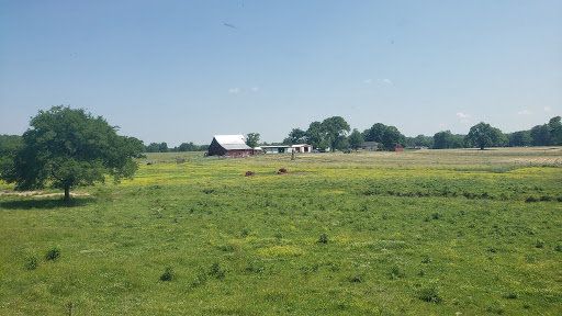 Rail Museum «Tennessee Central Railway Museum», reviews and photos, 220 Willow St, Nashville, TN 37210, USA