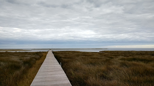 Discount Store «Dollar General», reviews and photos, 26038 NC-12, Waves, NC 27982, USA