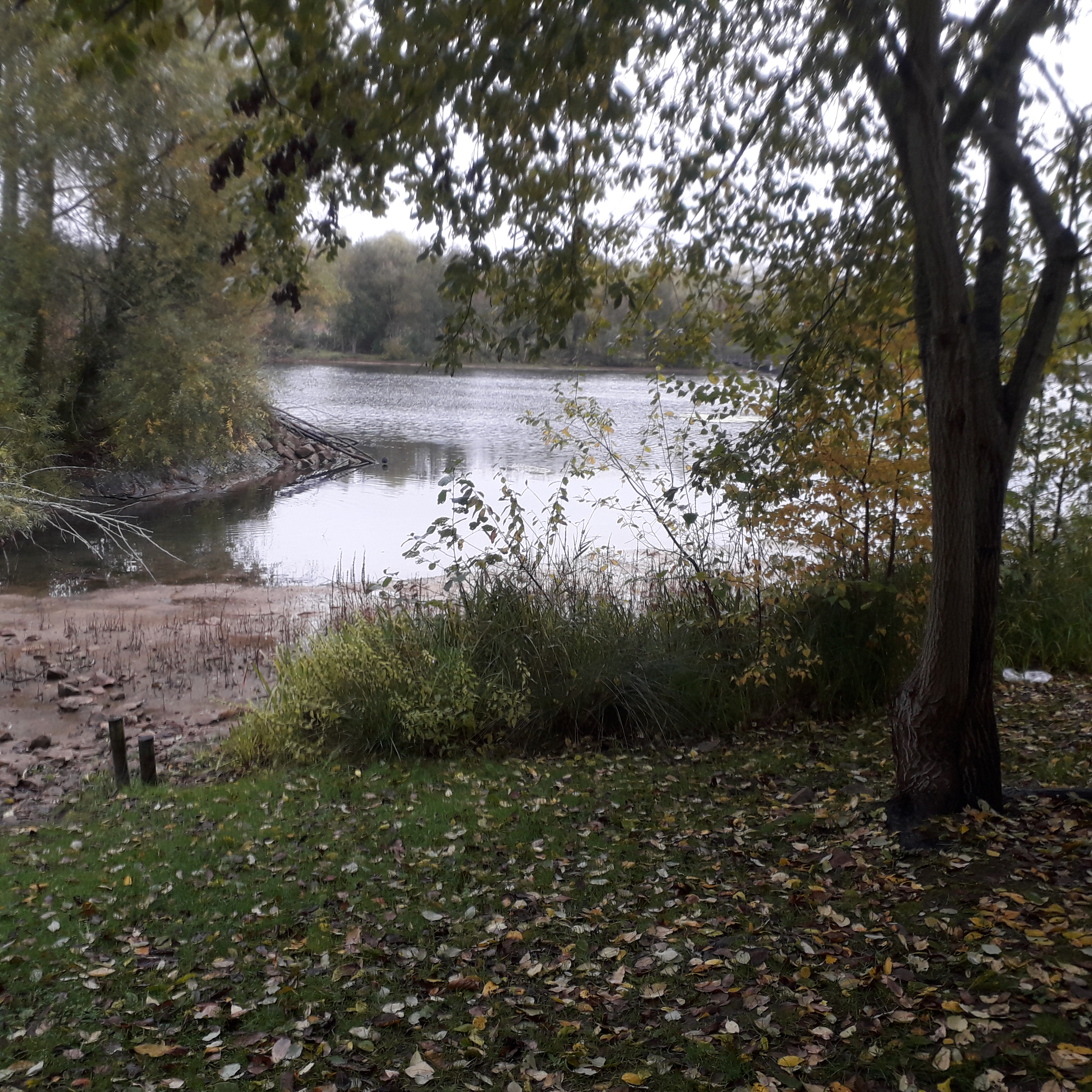 Photo n° 3 de l'avis de Catherine.e fait le 06/11/2019 à 18:06