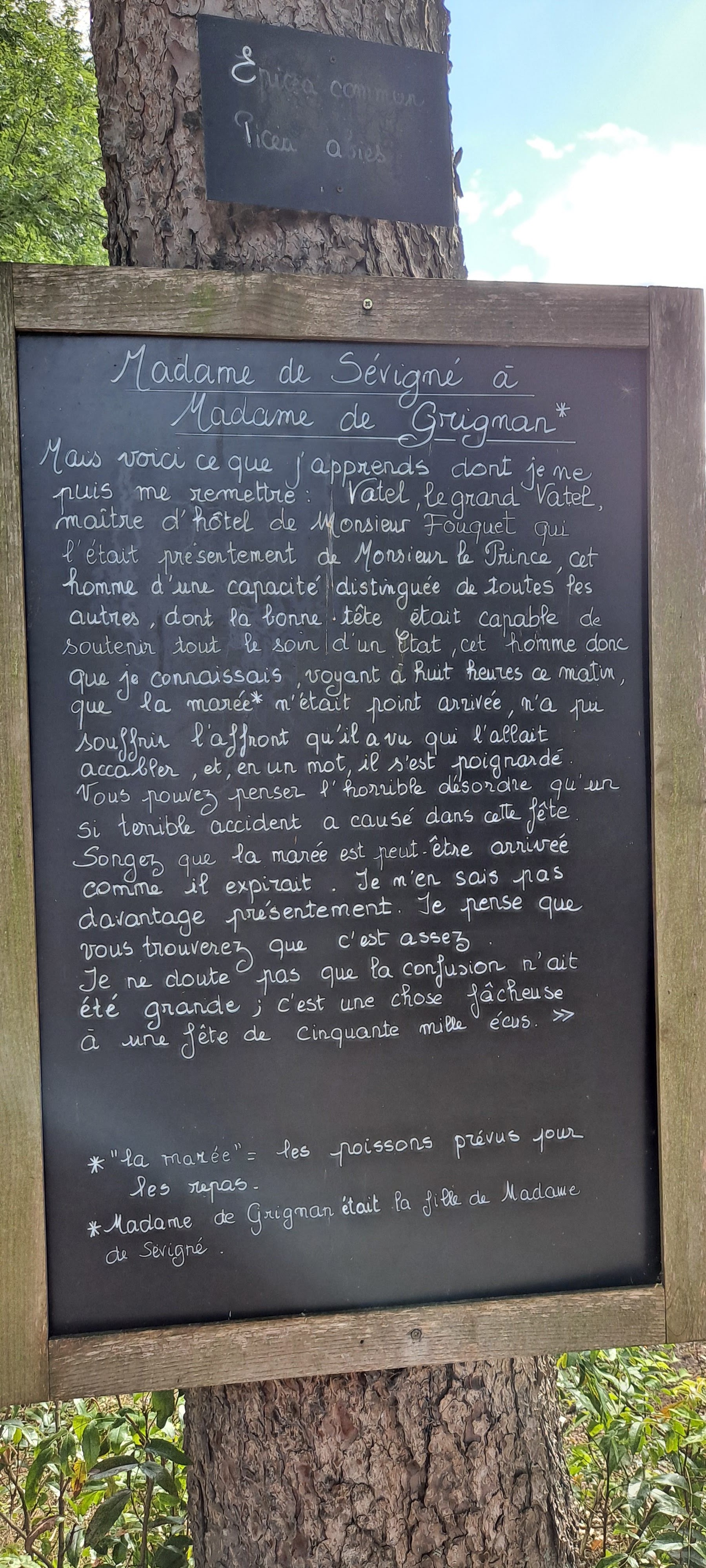 Photo n° 17 de l'avis de Elody.a fait le 17/08/2021 à 18:52