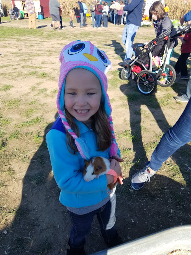 Tourist Attraction «Shipshewana Corn Maze», reviews and photos, 505 Morton St, Shipshewana, IN 46565, USA