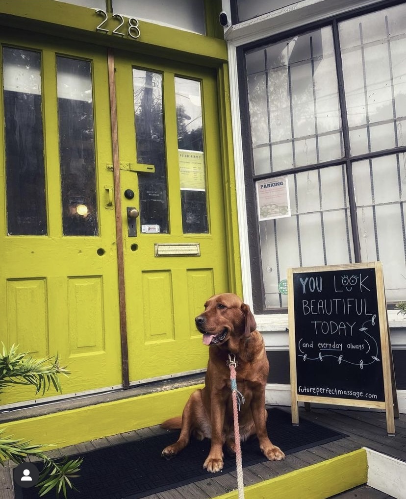 Future Perfect Massage