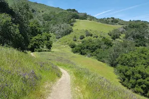 Johnson Ranch Open Space image