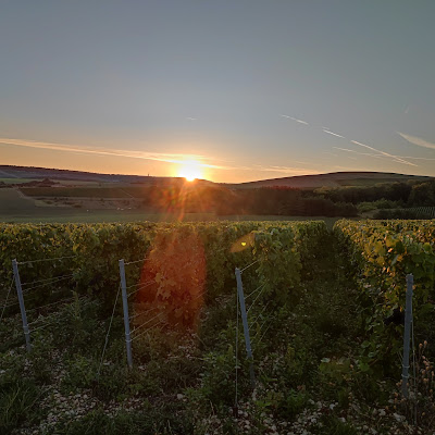Champagne Olivier Devitry à Urville