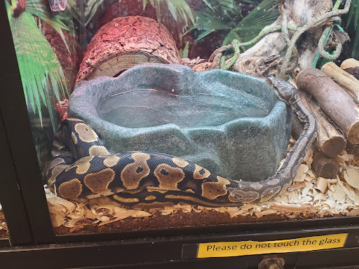 Pet Supply Store «PetSmart», reviews and photos, 15500 Panama City Beach Pkwy #340, Panama City Beach, FL 32413, USA