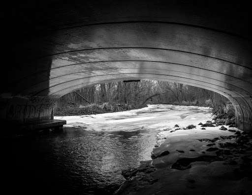 Nature Preserve «Forest Glen Woods», reviews and photos, 5420 N Forest Glen Ave, Chicago, IL 60630, USA