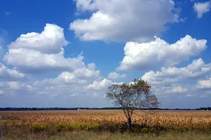 Wildcat Hollow State Habitat Area image