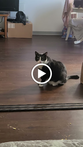 Pet Supply Store «PetSmart», reviews and photos, 4550 W Lake Mary Blvd, Lake Mary, FL 32746, USA