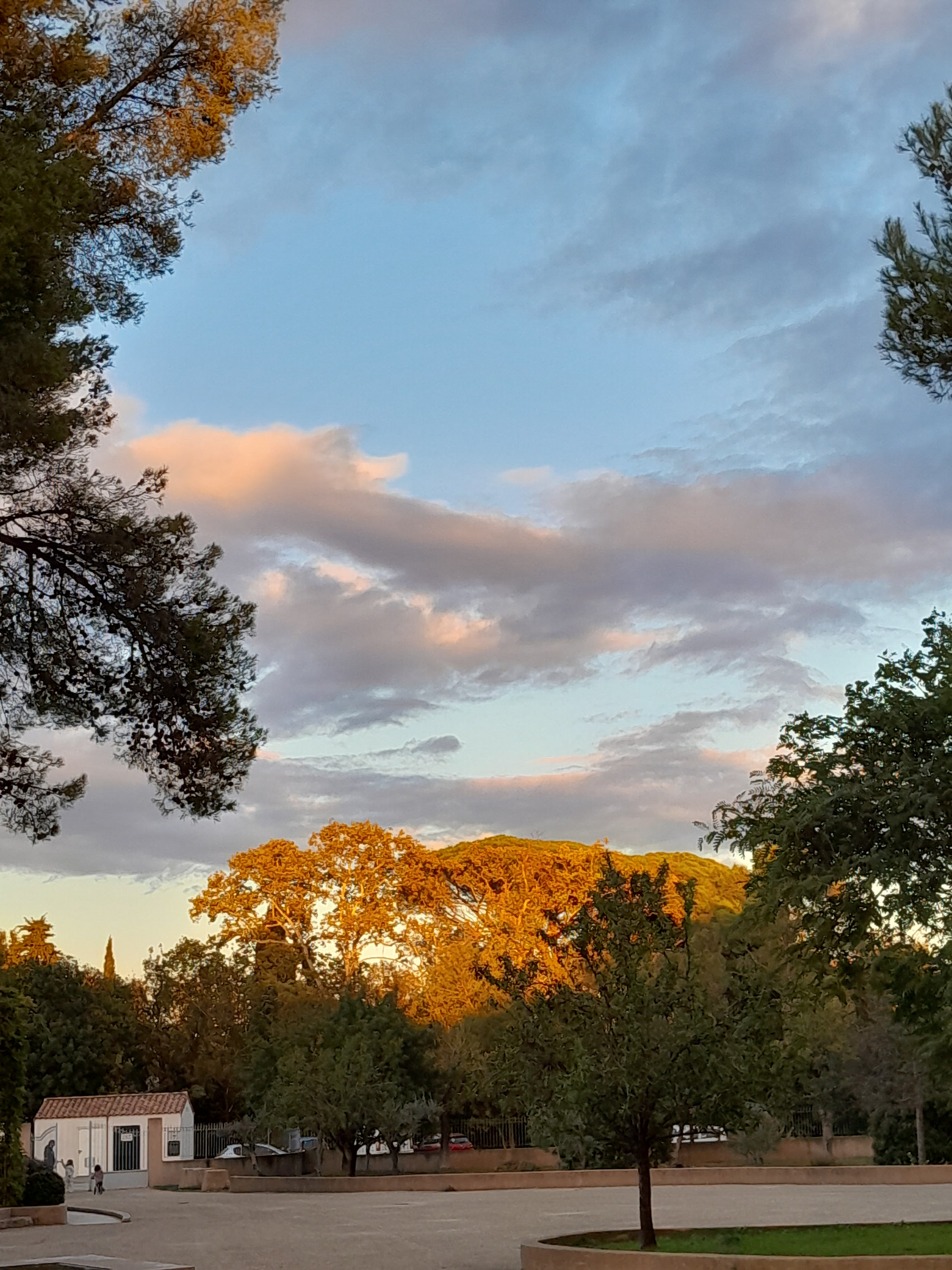 Photo n° 3 de l'avis de elodie.l fait le 16/11/2023 à 15:30