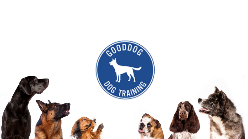 Gooddog Dog Training LLC
