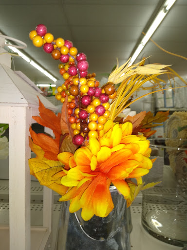 Home Goods Store «Dollar General», reviews and photos, 2640 E Orange Ave, Eustis, FL 32726, USA