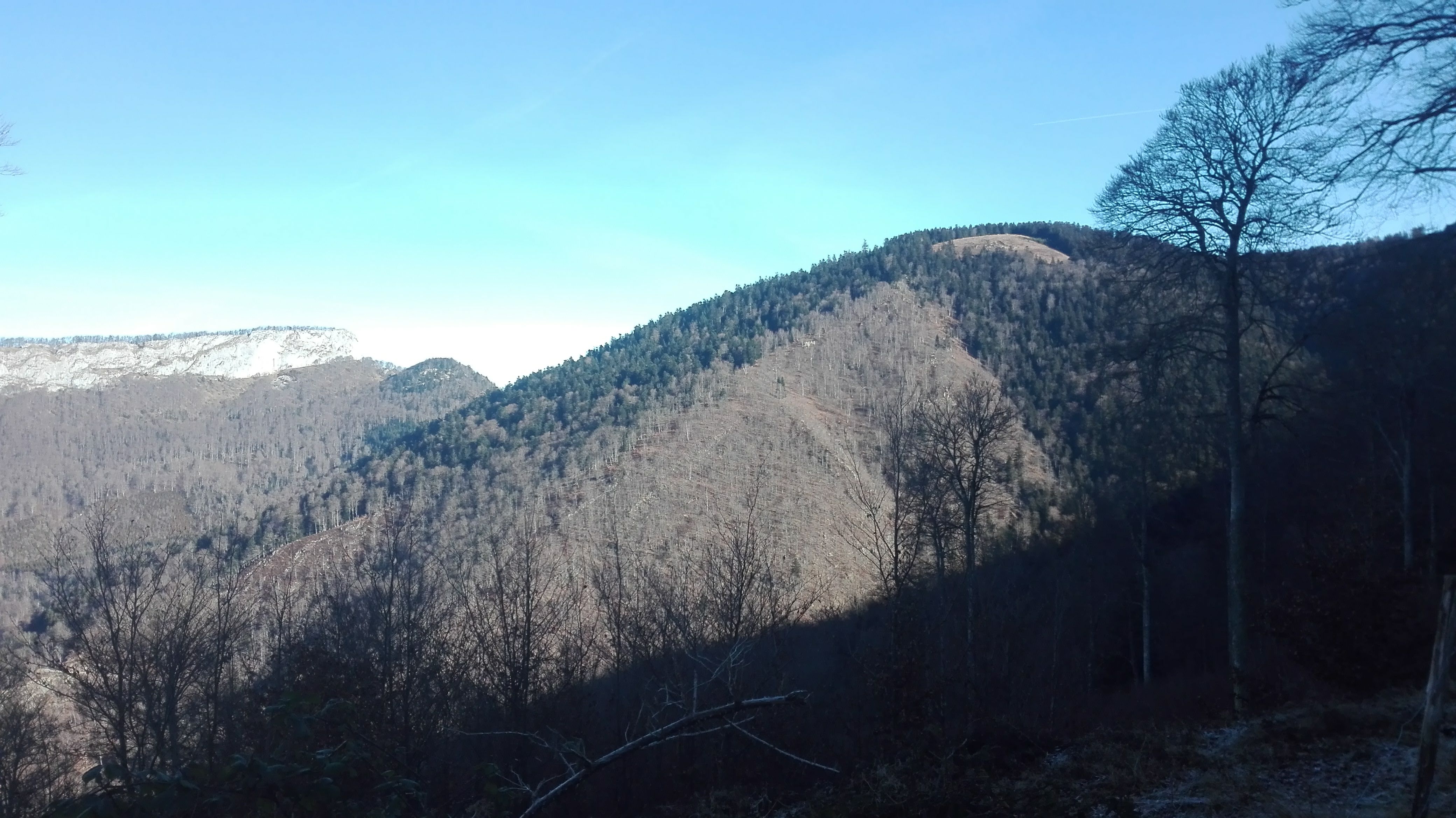 Photo n° 14 de l'avis de LOUIT.O fait le 15/01/2019 à 15:47