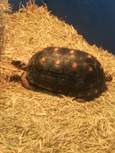 Tourist Attraction «IMAG History & Science Center (formerly Imaginarium Science Center)», reviews and photos, 2000 Cranford Ave, Fort Myers, FL 33916, USA