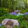 Edith J. Carrier Arboretum