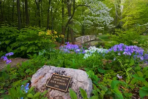 Edith J. Carrier Arboretum and Botanical Gardens at JMU image