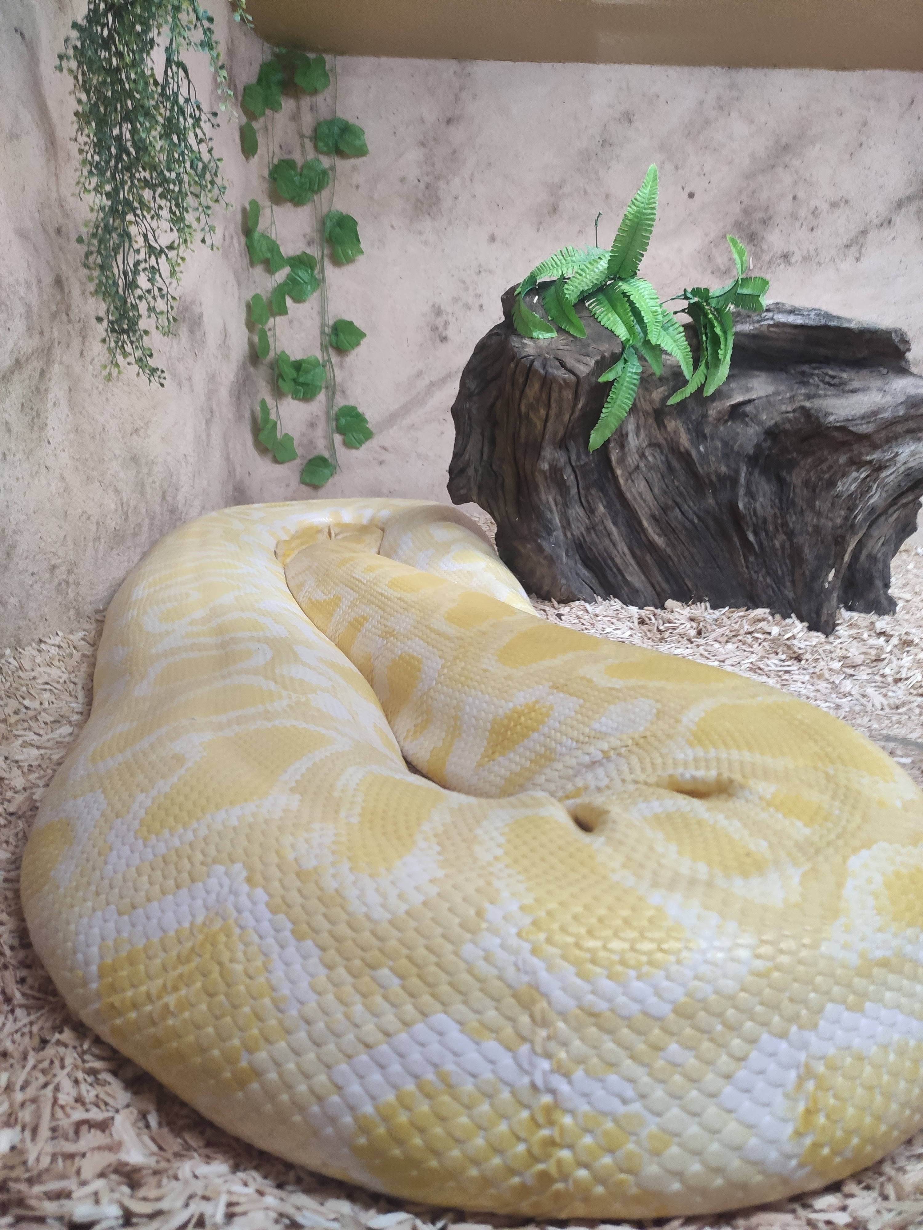 Photo n° 7 de l'avis de Chloé.z fait le 03/06/2022 à 06:31