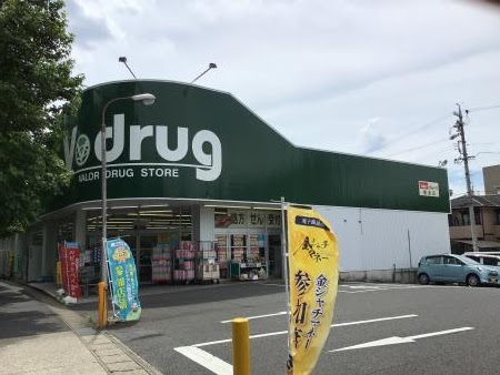 Ｖ・drug 香流店