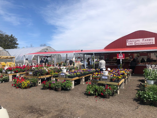 Sunscape Farms, 1420 Creek St, Rochester, NY 14625, USA, 