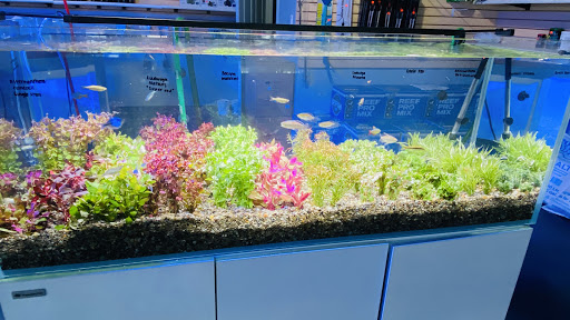 Tropical Fish Store «That Aquarium Place», reviews and photos, 17036 Stuebner Airline Rd, Spring, TX 77379, USA