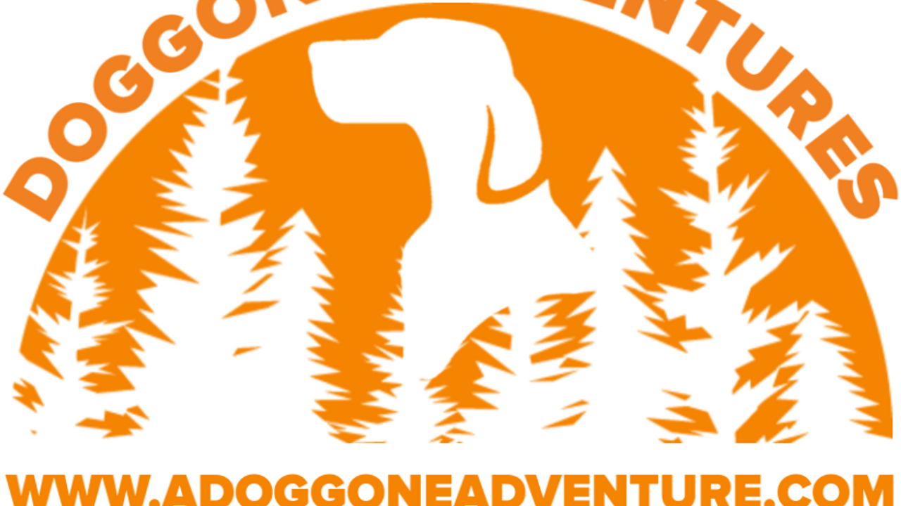 Doggone Adventures