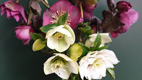 The Spotted Dog Flower Co.