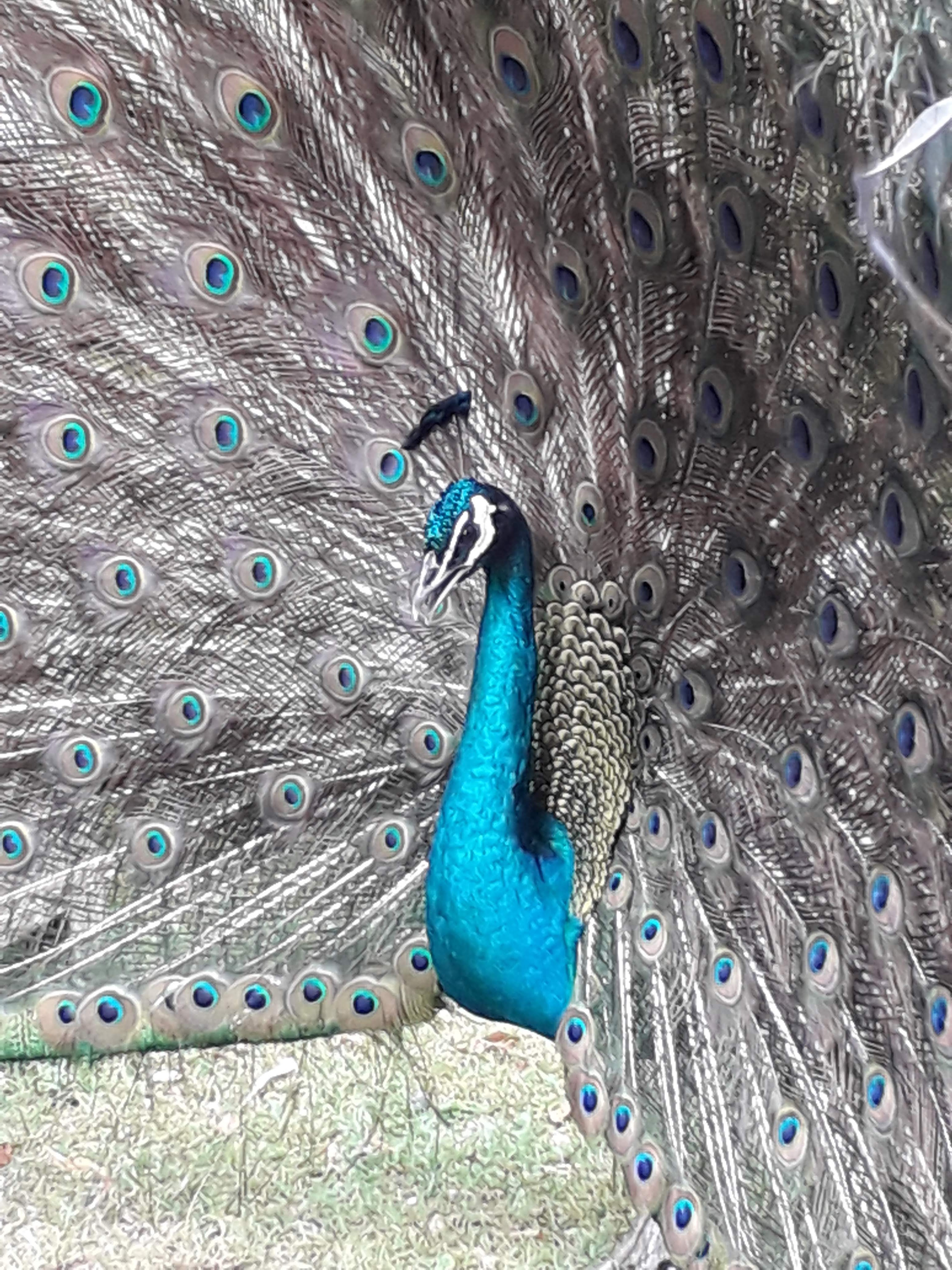 Photo n° 11 de l'avis de Le.o fait le 22/07/2022 à 15:09