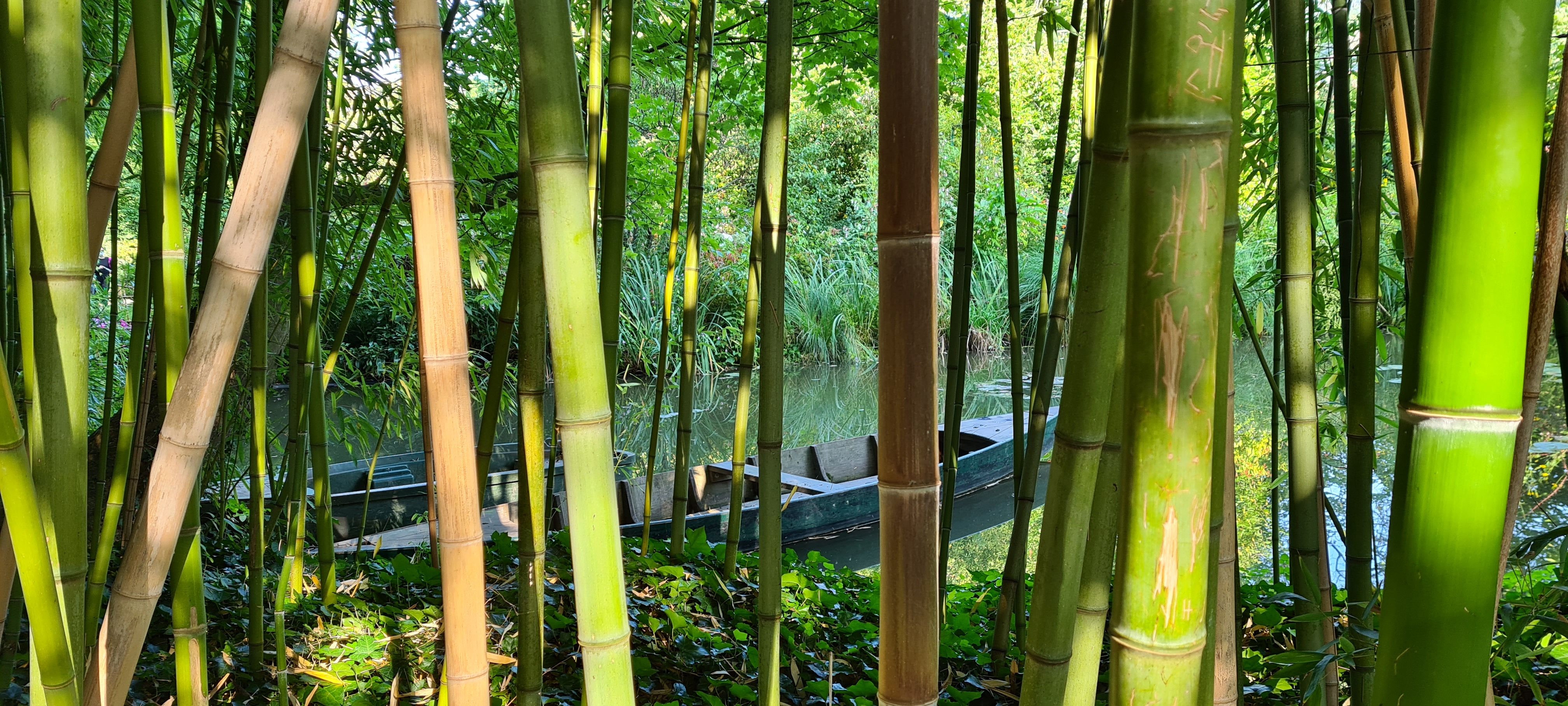 Photo n° 31 de l'avis de Gilles.o fait le 10/09/2021 à 06:37