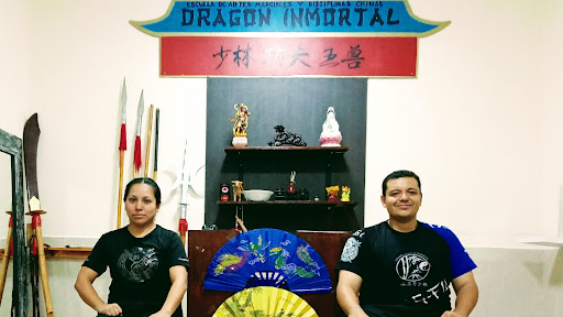 Artes marciales kung-fu dragón inmortal Tlaquepaque