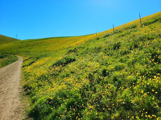 Nature Preserve «Brushy Peak Regional Preserve», reviews and photos, Laughlin Rd, Livermore, CA 94551, USA