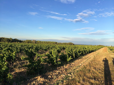 Philis Œnologie à Gigondas