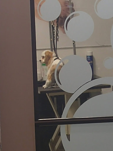 Pet Supply Store «Pet Express», reviews and photos, 180 Commercial St, Lynn, MA 01905, USA