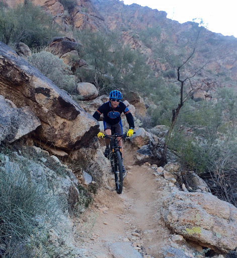 Bicycle Repair Shop «Two Wheel Jones Bicycles - Mesa», reviews and photos, 2837 N Power Rd #110, Mesa, AZ 85215, USA