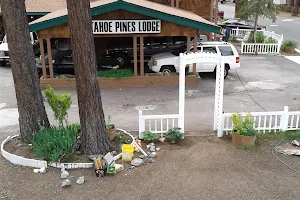 Tahoe Pines Lodge image
